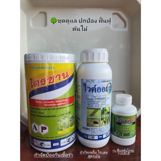 กำจัดเพลี้ย ไรแดง สูตรเย็น กำจัดเชื้อรา ฟื้นฟูต้นโทรม Get rid of aphids, red mites, cold formula, eliminate mold