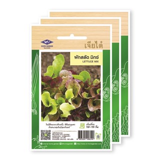 [ราคาพิเศษ] เจียไต๋ เมล็ดพันธุ์ผักกาดหอม ผักสลัด มิกซ์ แพ็ค 3 ซอง - Chia Tai Seed Lettuce Mix x 3 pcs