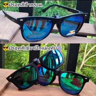 CLIPON SUNGLASSES POLARIZED LENS คลิปแว่นตากันแดด เลนส์โพลาไรซ์ (รุ่นWAY)