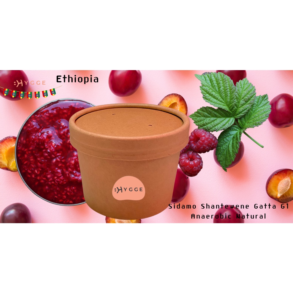 Ethiopia Sidamo Shantewene Gatta G1 Anaerobic Natural
