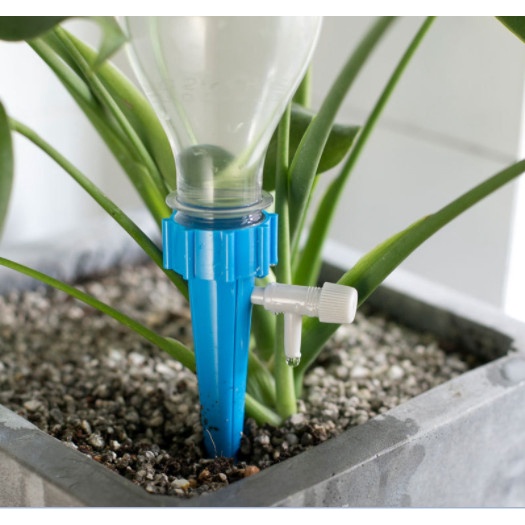 รูปภาพ 3