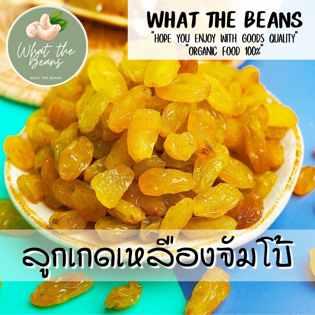 ลูกเกดเหลืองทองจัมโบ้ 500g นำเข้าล็อตใหม่ล่าสุด สีเหลืองทองสวยมาก อมเปรี้ยวอมหวาน อร่อย มีประโยชน์ What The Beans