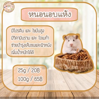 [Exotic land] หนอนอบแห้ง  สะอาด ปลอดภัย อุดมไปด้วยโปรตีน