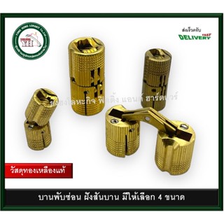 บานพับซ่อน 180 องศา บานพับ บานพับทองเหลือง บานพับซ่อนทองเหลือง C10 C12 C14 C16 (GP) (บรรจุ 1 ตัว) บานพับตู้