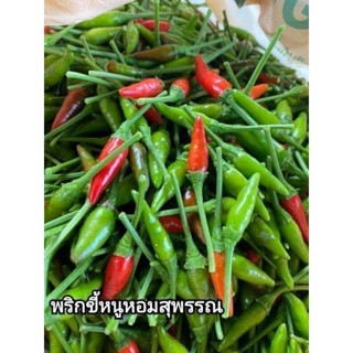 🌶️พริกขี้หนูสวนจิ๋วสวยหอมสดใหม่ทุกวันขาถูกขายจิงเรามีหน้าร้านขายทุกวัน500 กรัม