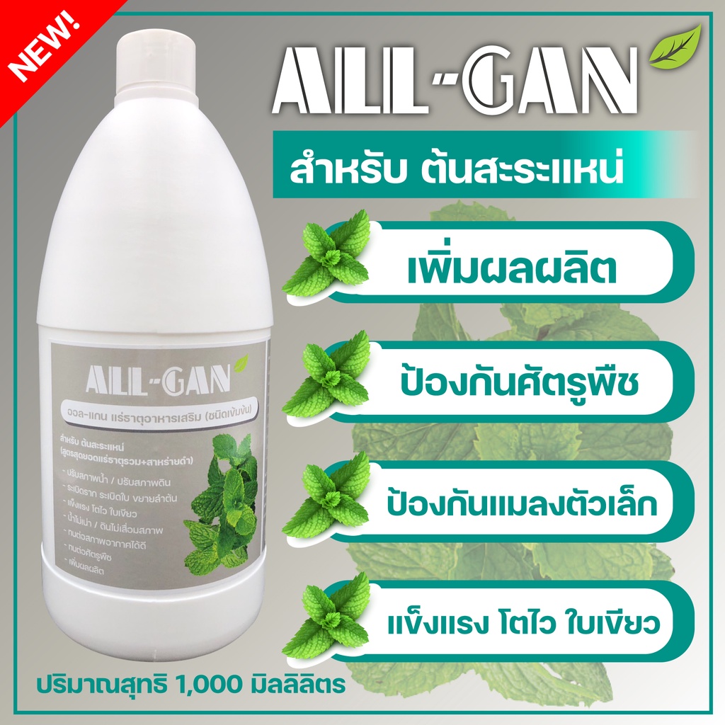 ปุ๋ยน้ำสะระแหน่ช่วยไม่ให้ใบเหลืองALL GAN1000ml.ป้องกันโรคใบจุดป้องกันแมลงตัวเล็กสูตรเข้มข้นพิเศษใช้ได้นานจากธรรมชาติ100%