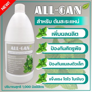 ปุ๋ยน้ำสะระแหน่ช่วยไม่ให้ใบเหลืองALL GAN1000ml.ป้องกันโรคใบจุดป้องกันแมลงตัวเล็กสูตรเข้มข้นพิเศษใช้ได้นานจากธรรมชาติ100%