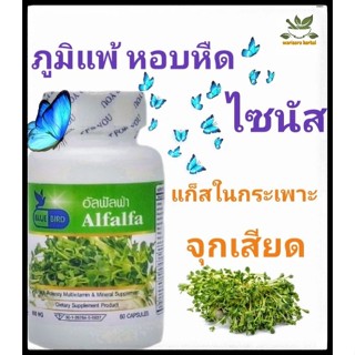 อัลฟัคฟ่าAlfalfa 600มิลลิกรัม 60แคปซูล ตราบลูเบิร์ด