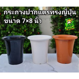 กระถางปากแตรทรงญี่ปุ่น กระถางปลูกไม้กราฟขนาด7"×8"