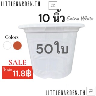 กระถางขาว 10 นิ้ว 50 ใบ (สีขาว สีอิฐ)