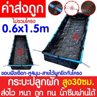 *ส่งไว* กระบะปลูกผัก (0.3x0.6x1.5m) กะบะปลูกผัก กระบะเพาะปลูก กะบะเพาะปลูก แปลงผักเพาะปลูก แปลงปลูกผัก ถุงกะบะปลูก