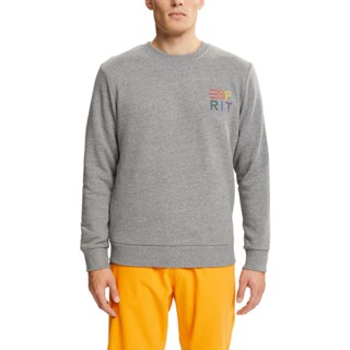 ESPRIT Mens Sweatshirt with a colourful embroidered logo