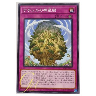 Yugioh [SD45-JP037] Naturia Sacred Tree (Common)