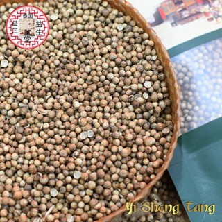 เม็ดผักชี ลูกผักชี ผักชีเมล็ดผักชี 🍂 ลูกผักชี Coriander seeds เม็ดผักชี芫荽种子เมล็ดผักชี 芫荽 ผักชี เกรด A