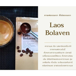 กาแฟลาวโบลาเวน Bolaven, เมล็ดกาแฟคั่วเกรดAA อาราบิก้า คั่วกลาง,Premium+,Laos Bolaven Arabica, Medium Roast