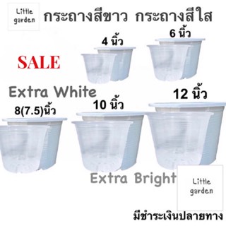 Little กระถางสีขาว 10 นิ้ว 12 นิ้ว  8 นิ้ว 6 นิ้ว 4 นิ้ว กระถางใส(สีขาวออร่าA+🤍)(สีใสพิเศษA+💎)