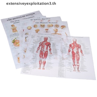 &amp; Home &amp; Human Anatomy โปสเตอร์ แผนที่ร่างกาย กล้ามเนื้อ ผ้าไหม สําหรับตกแต่งผนังบ้าน