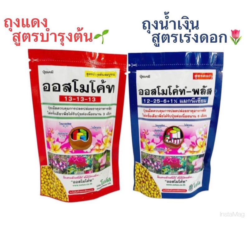 ปุ๋ย ออสโมโค้ท สูตรละลายช้า13-13-13 ขนาด100กรัม