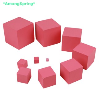 AmongSpring&gt; Montessori Materials Pink Tower Early Childhood Education Preschool Kids Toys new