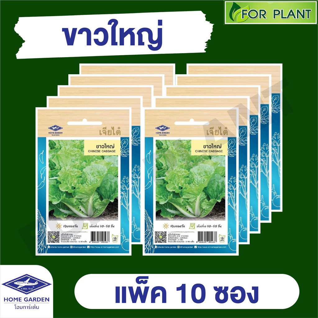 ขายส่ง เมล็ดพันธุ์ ผักซอง ยกแพค เจียไต๋ ราคาถูก บรรจุแพ็คละ 10 ซอง  CT15 {คละชนิดได้ กดใส่ตะกล้าไว้ก่อนยืนยันสั่งซื้้อ)
