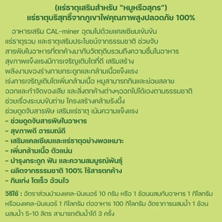 อาหารเสริมหมู1000กรัม CAL MINERแคลเซียมและแร่ธาตุเร่งการเจริญเติบโตเพิ่มกล้ามเนื้อ ช่วยดีท็อกซ์ลำไส้