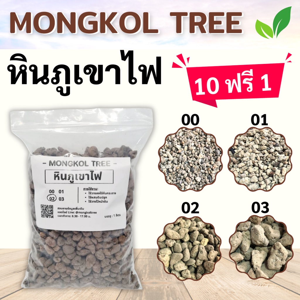 500 กรัม!! หินภูเขาไฟ เบอร์ 00, 01, 02, 03 หินโรยกระถาง Mongkol Tree Family ใช้ผสมดินปลูกแคคตัส ใช้โรยหน้ากระถาง