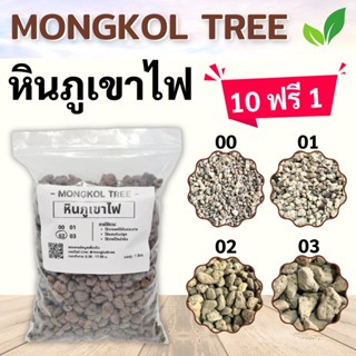 500 กรัม!! หินภูเขาไฟ เบอร์ 00, 01, 02, 03 หินโรยกระถาง Mongkol Tree Family ใช้ผสมดินปลูกแคคตัส ใช้โรยหน้ากระถาง