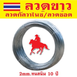 ลวดทนสนิม ลวดขาว ลวดช๊อต 2.0mm. ลวดชุบซิงค์แบบจุ่มร้อน Galvanized wire ลวดอเนกประสงค์ ลวดเหล็ก ลวดชุบขาว