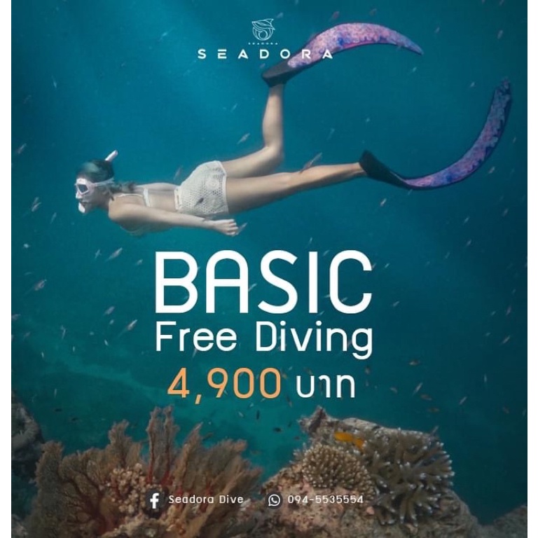 Basic Freediving Course