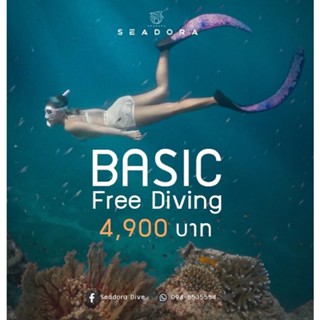 Basic Freediving Course