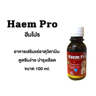 Haem Pro ฮีมโปร บำรุงเลือดชนิดน้ำ 100 ml