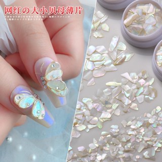 🪴เปลือกหอย ลายรุ้ง แต่งเล็บ เปลือกหอยแผ่น(แบบปุก)Slice Nail Glitter Shell