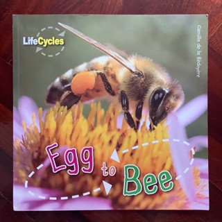 หนังสือชุด LifeCycles เรื่อง From Eggs to Bee