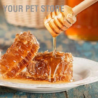 Your Pet Store แท่งไม้กวนน้ําผึ้ง เป็นมิตรกับสิ่งแวดล้อม สําหรับเลี้ยงผึ้ง 5 ชิ้น