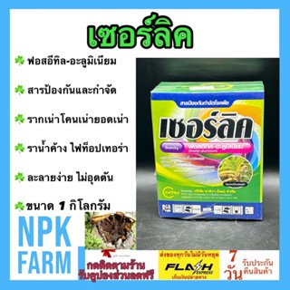 เซอร์ลิค 1 กิโลกรัม ฟอสอีทิล อะลูมิเนียม ยาเชื้อราในพืช ยากำจัดเชื้อรา เก่ง รากเน่าโคนเน่า เน่าดำ ไฟท็อปเทอร่า ราน้ำค้าง