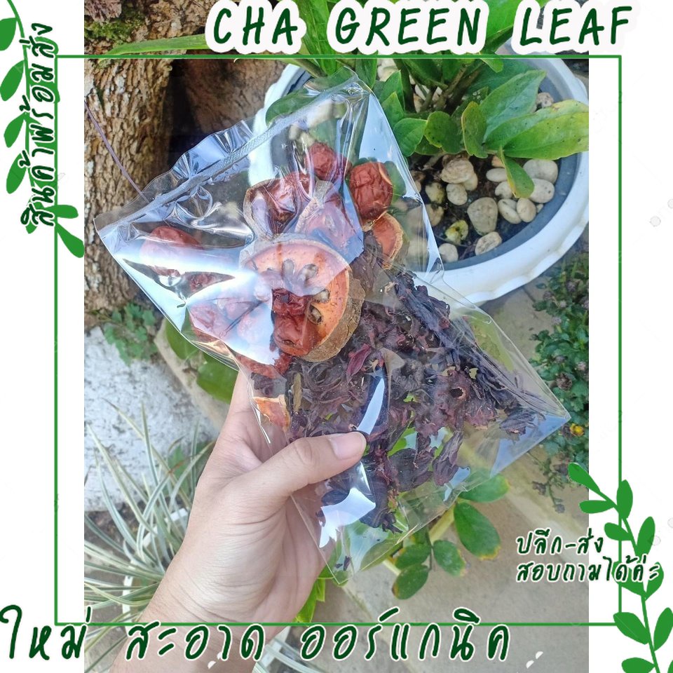 สมุนไพรลดไขมันในเส้นเลือด 100 กรัม ป้องกันเส้นเลือดในสมองตีบ [ChaGreenLeaf]
