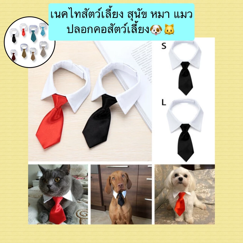 PP-417 เนคไทสำหรับสัตว์เลี้ยง ปลอกคอพร้อมเนคไท ดีไซน์เรียบหรู ปรับสายได้ เหมาะกับสุนัขและแมว ราคาประหยัด พร้อมส่งทันที!