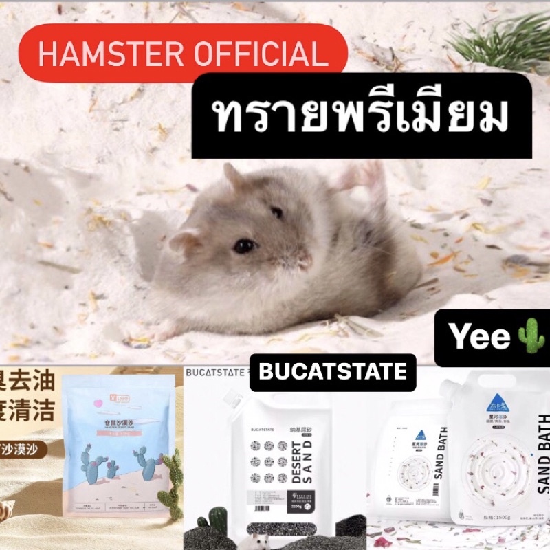 ทรายสัตว์เล็ก ซาฮาร่า มารุคัง Bucatstate Yee ทรายอาบ ทรายฉี่ ทรายบัดดี้ แฮมเตอร์ ดอร์เมาส์ Hamster Official sand marukan
