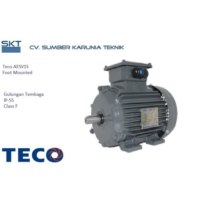 มอเตอร์ไฟฟ้า ไดนาโม TECO 3PHASE 2POLE 3000RPM 5hp 3.7KW