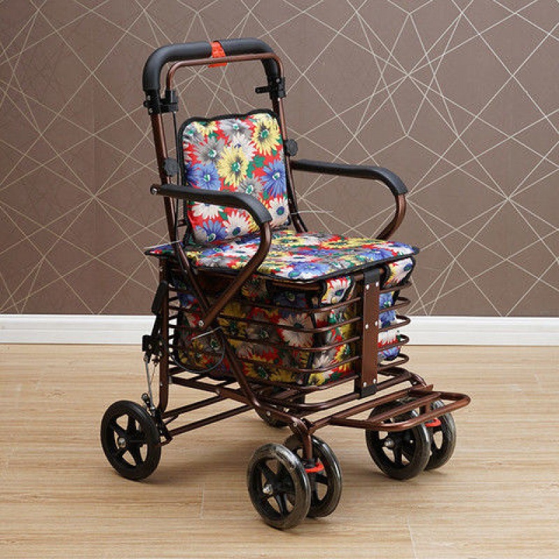 Old People Can Push Chairs That Can Sit Walker Old People Can Push and