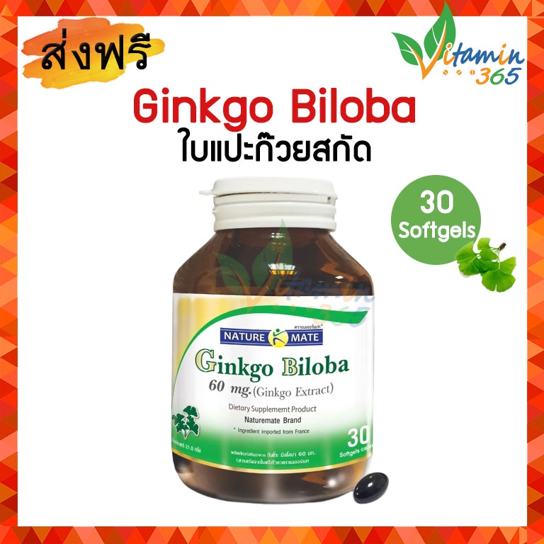 Springmate Ginkgo Biloba 60 mg สปริงเมท ใบแปะก๊วยสกัด 30 softgels