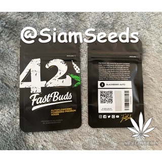 เมล็ดกัญชา Fastbuds Blackberry Auto Cannabis Seeds