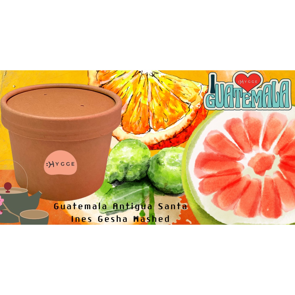 Guatemala Antigua Santa Ines Gesha