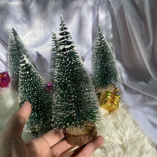 🌲ต้นคริสมาสต์ ขนาดเล็ก🌲