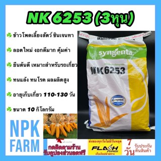 ข้าวโพดเลี้ยงสัตว์ เอ็นเค NK6253 เบอร์3 (3 หุน) ขนาด 10 กิโลกรัม ซินเจนทา หมดอายุ 05-2567 เมล็ดเล็ก ลอตใหม่ งอกดี ทนแล้ง