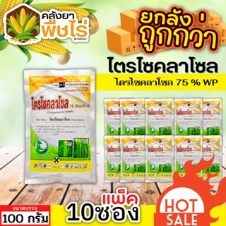 🌽 💥💥 สินค้ายกแพ็ค 💥💥 ไตรไซคลาโซล 75ดับบลิวพี (ไตรไซคลาโซล) 100กรัม*10ซอง ป้องกันโรคไหม้ในนาข้าว