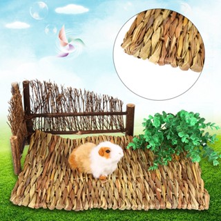คลังสินค้าใส [สินค้าพร้อมส่ง] เสื่อหญ้าทอมือขนาดเล็กสําหรับสัตว์เลี้ยงหนูแฮมสเตอร์กระต่าย 2 ขนาด
