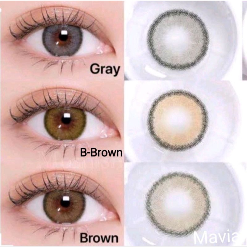 คอนแทคเลนส์ รุ่น Mini Mavia/Olivia สีเทา/ตาล Gray/Brown มีค่าสายตา (0.00)-(-10.00)