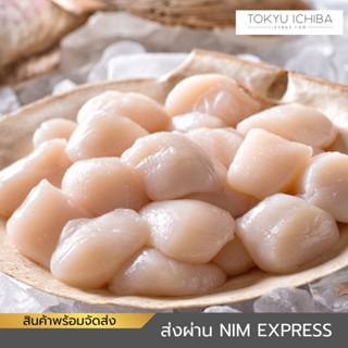 หอยเชลล์ซาซิมิ หอยเชลล์ย่าง หอยเชลล์เสียบไม้ Hotate Frozen Scallop 1,000 กรัม สินค้าแช่แข็ง พร้อมส่ง