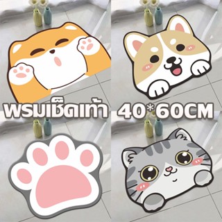 🐾COD🐾 พรมปูพื้น พรมเช็ดเท้า ซับน้ำได้ดี พรมเช็ดเท้าห้องน้ำ 40*60cm